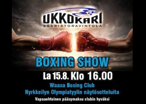 Boxing Show